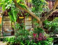 Adiwana Monkey Forest photo 9