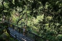 Adiwana Monkey Forest photo 10