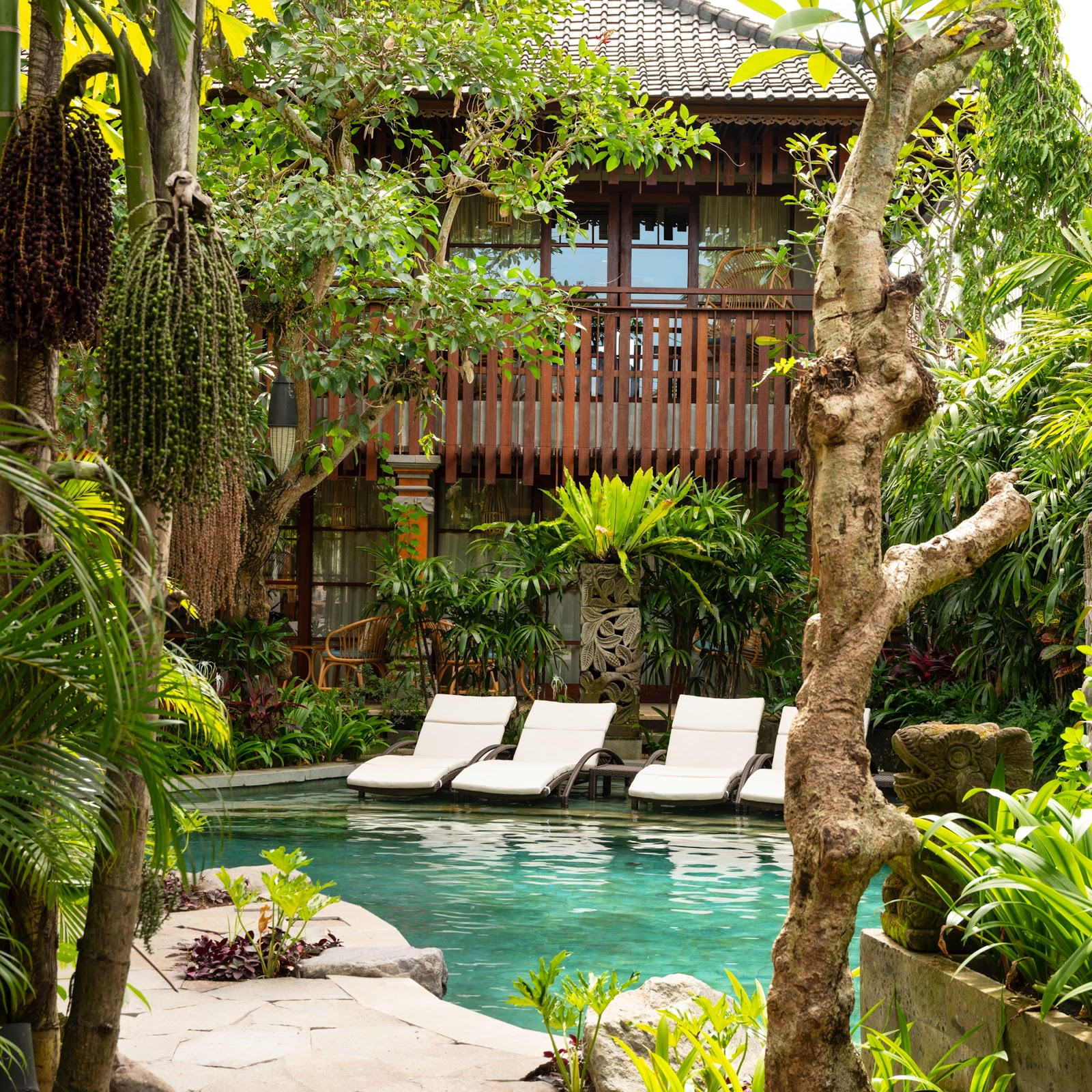 Luxurious tropical pool courtyard with turquoise water, three white lounge chairs, traditional wooden Balinese architecture with tiled roof, lush vegetation including palm trees and hanging plants, serene garden setting with stone pathways